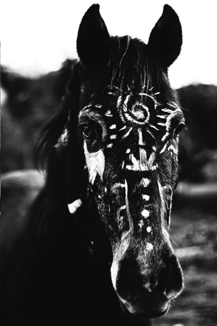 a black and white photo of a horse's face with intricate designs on it