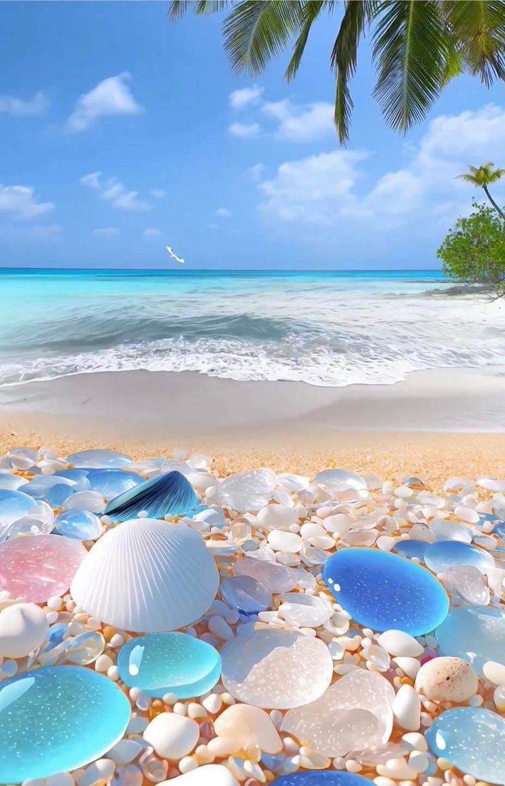 there are many different colored glass pebbles on the beach with palm trees in the background