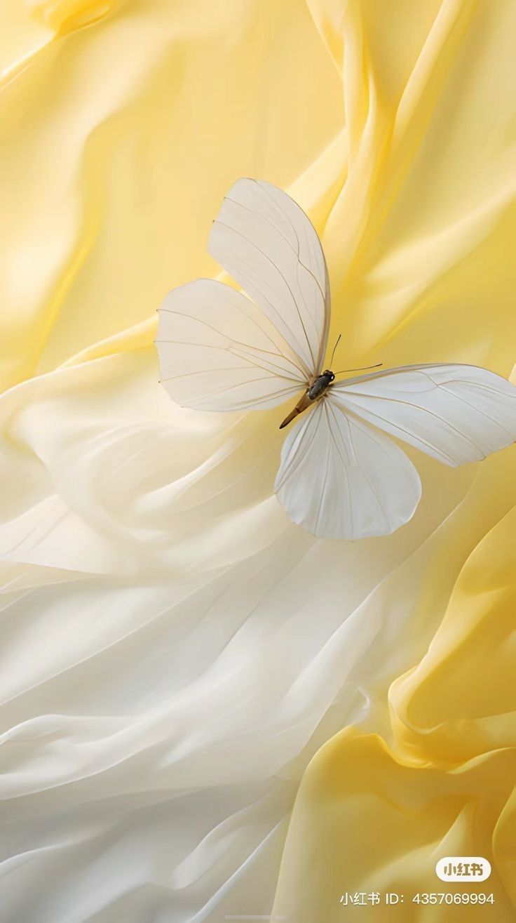 a white butterfly sitting on top of a yellow sheet