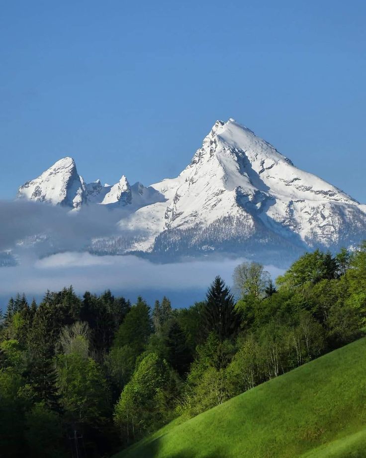 the snow covered mountain is in the distance with trees and grass on the foreground