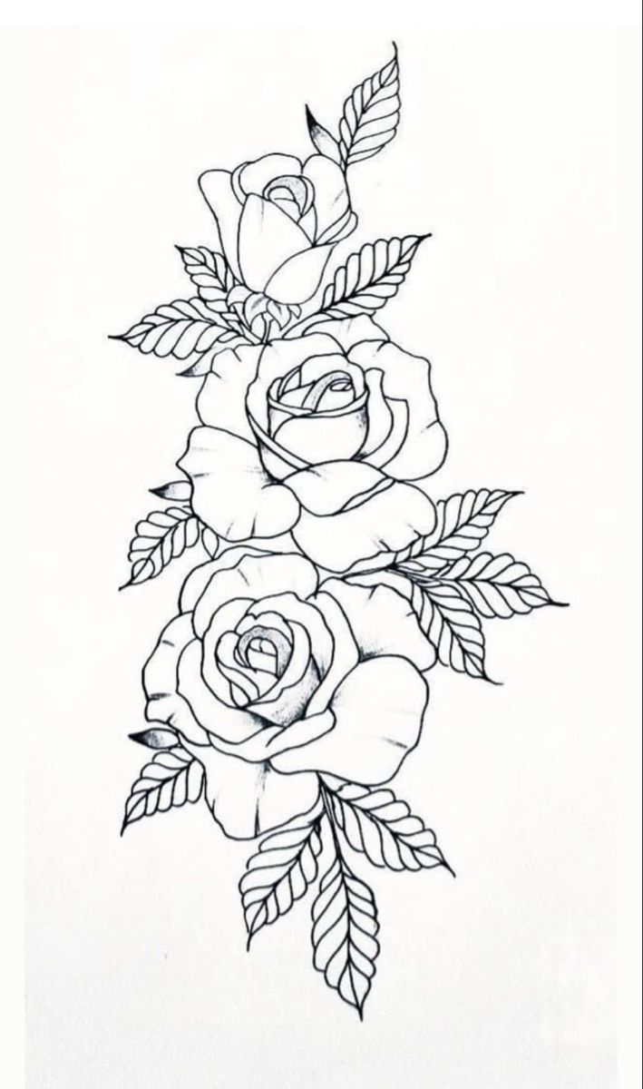 a line drawing of roses with leaves on the bottom and one flower in the middle