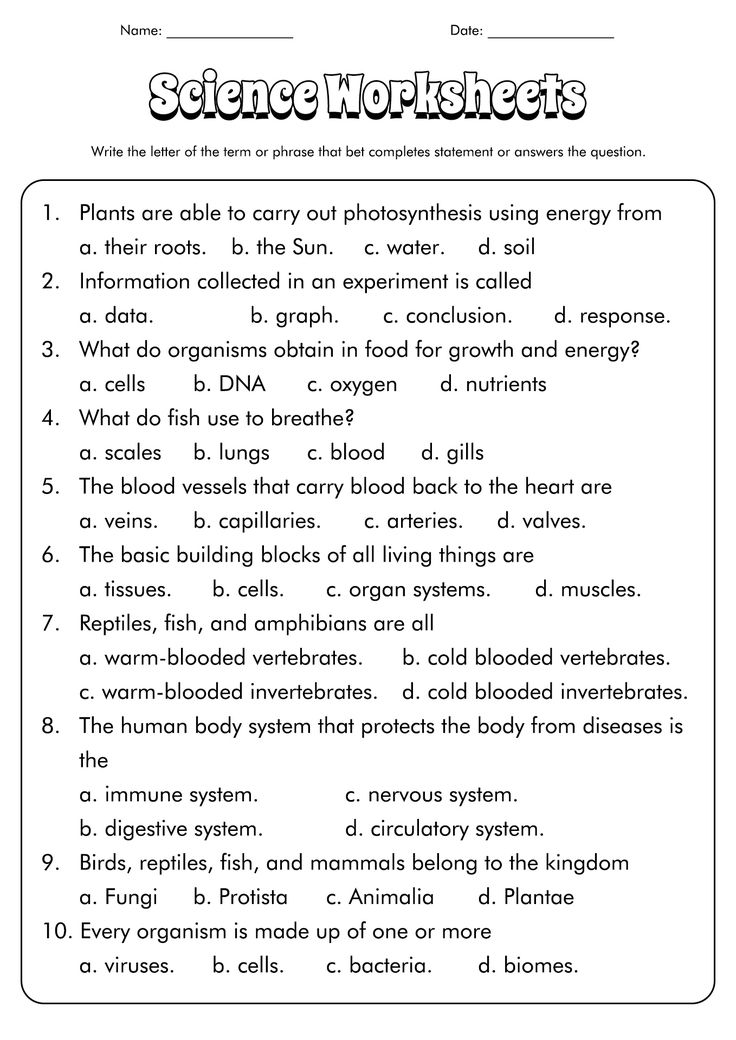 science worksheet with answers for students to use in the classroom, including an image of