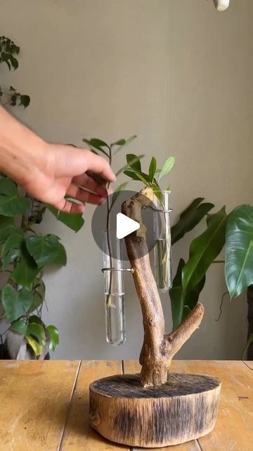 a person is holding a plant in a glass vase on top of a wooden table