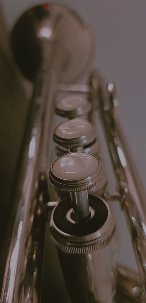 a silver instrument with knobs on it's sides