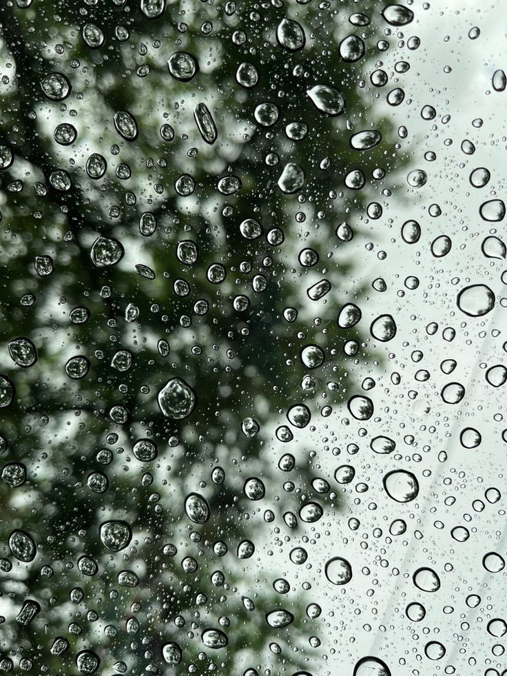 rain drops on the window with trees in the background