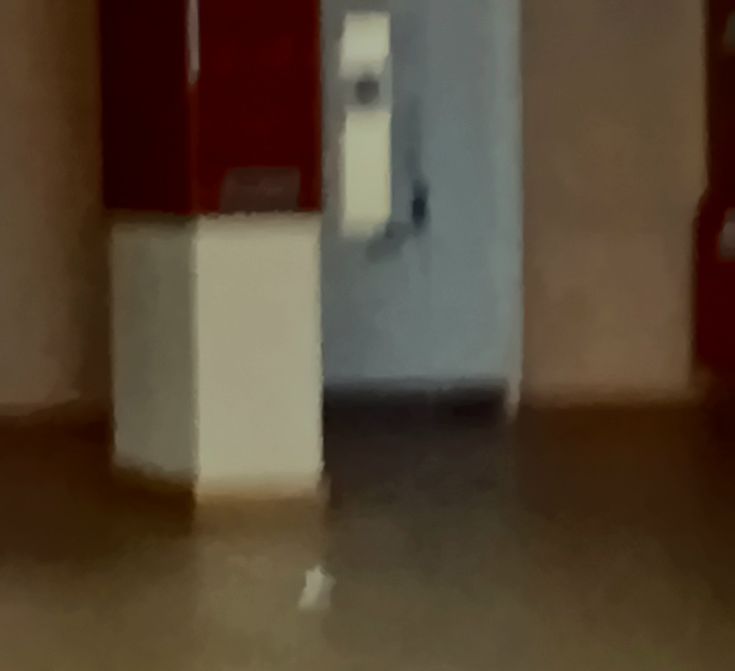 an image of a room that is flooded with water on the floor and red walls