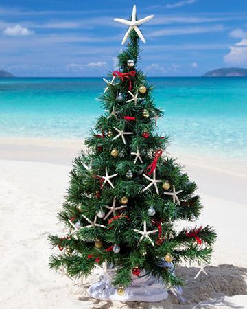 a christmas tree on the beach with words above it that says, i have a holly tropical christmas it's the best time of the year