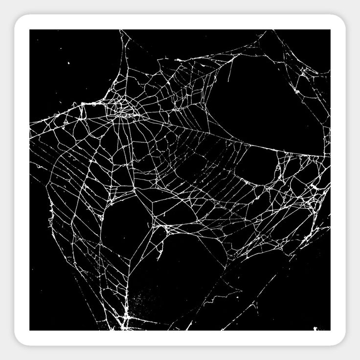 a black and white photo of spider web