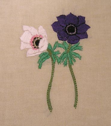 two purple and white flowers sitting on top of a piece of cloth next to each other