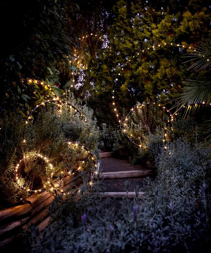 some lights that are in the bushes