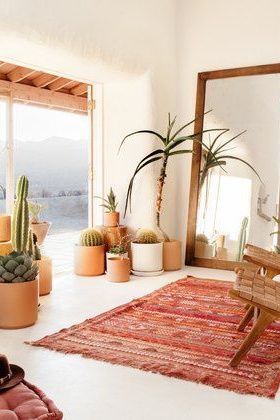 a living room filled with lots of potted plants next to a large mirror on the wall