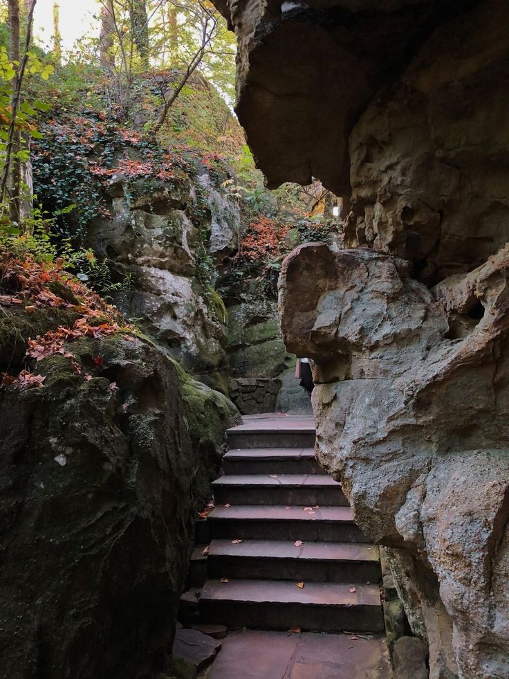 steps lead up to the top of a cliff in an area with large rocks and trees