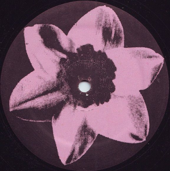 an image of a flower on a black and pink record cover with the word,