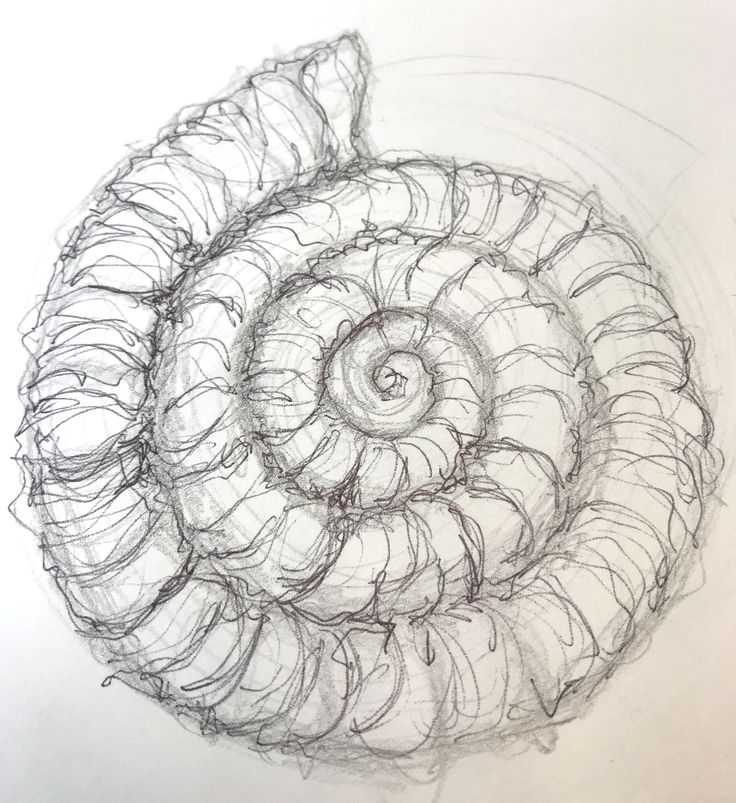 a drawing of a spiral design in black and white