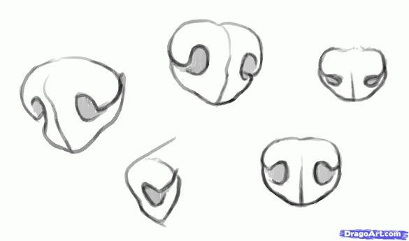 the stages of drawing an alien head with different angles and shapes, including eyes and nose