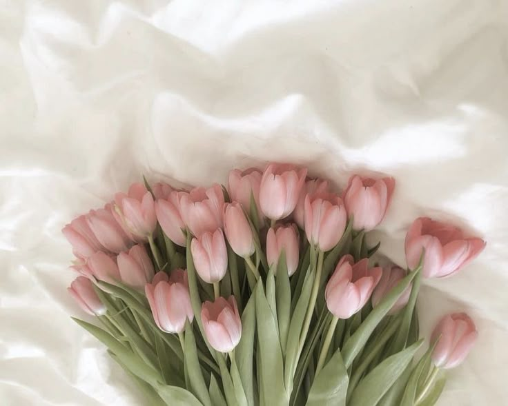 a bouquet of pink tulips on a white sheet