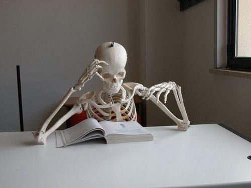 a skeleton sitting at a desk reading a book with the caption study law they said it will be fun they said