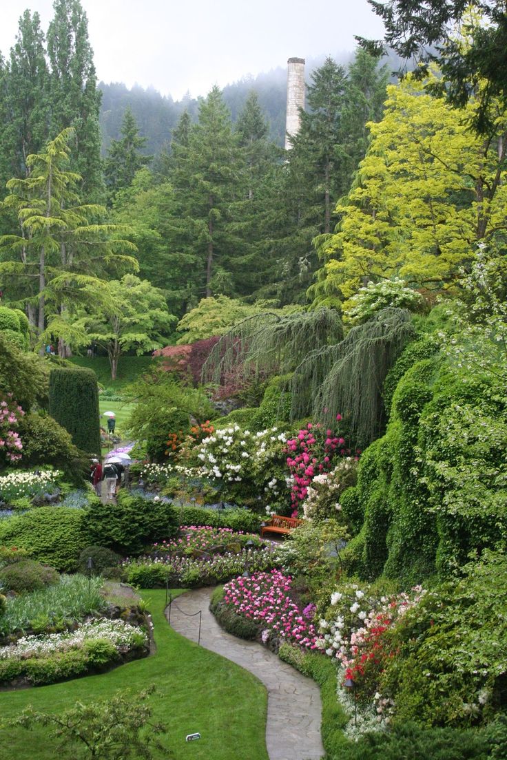 the garden is full of flowers and trees