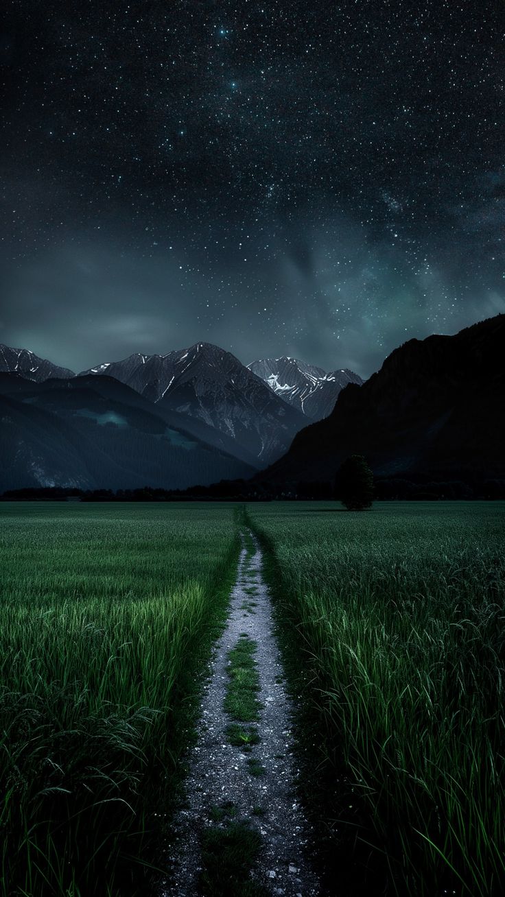 a dirt road in the middle of a grassy field under a night sky with stars