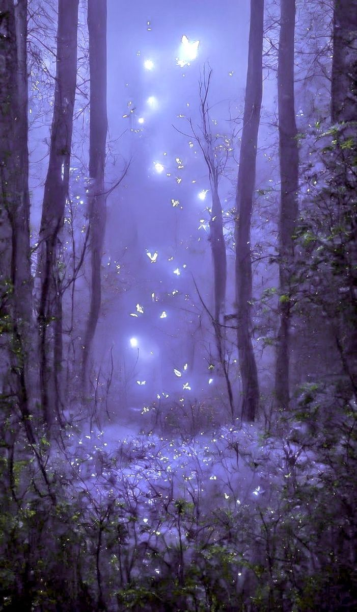 a forest filled with lots of butterflies flying through the air