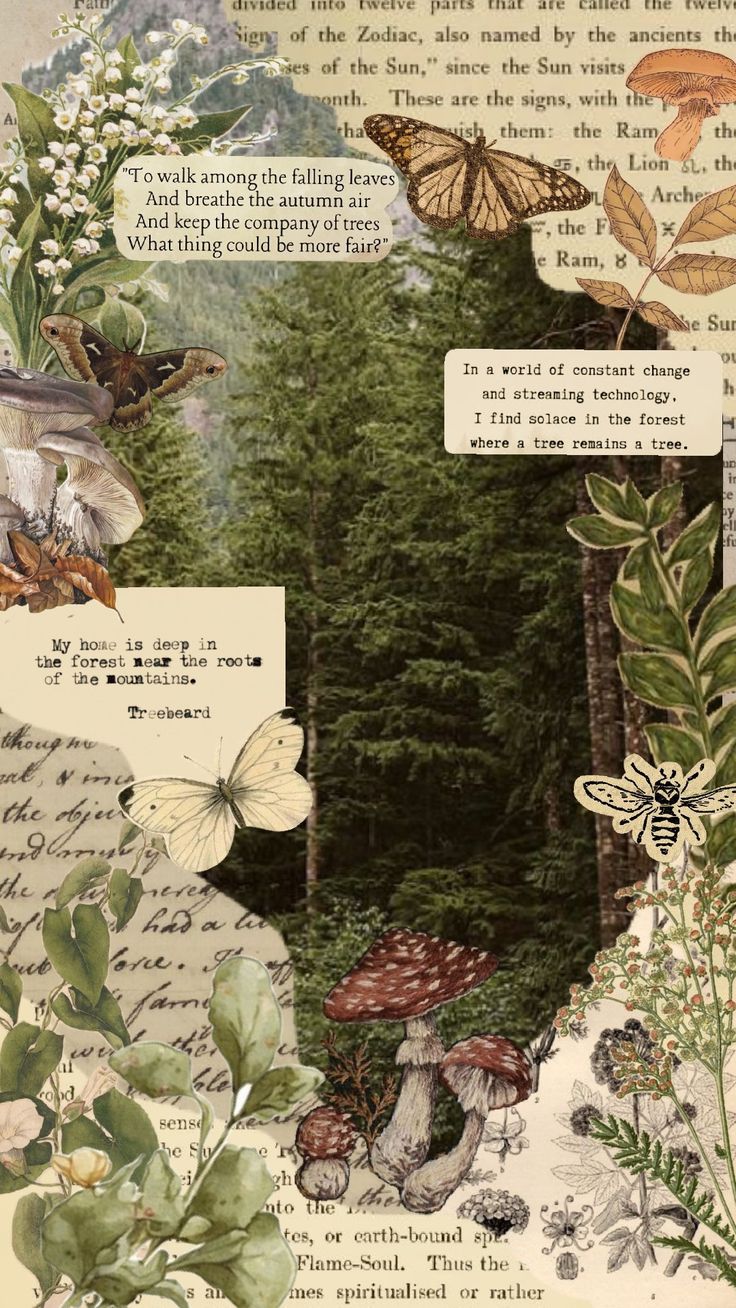 an altered collage with butterflies and flowers