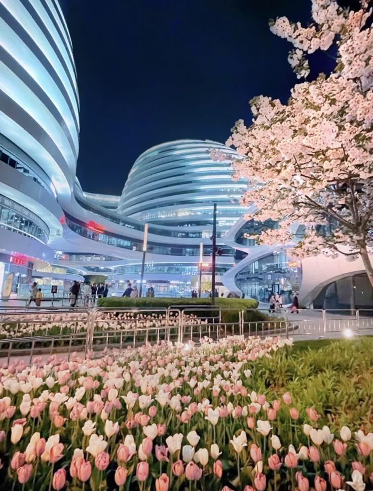 pink and white flowers in front of a building at night