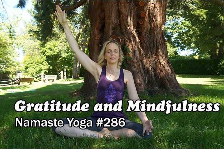 Namaste Yoga 286 Gratitude and Mindfulness An Intermediate Level Yoga Class Intermediate Yoga Poses, Gratitude Meditation, Yoga Sutras, Post Yoga, Yoga Youtube, Membership Site, Namaste Yoga, Self Massage, Yoga Community