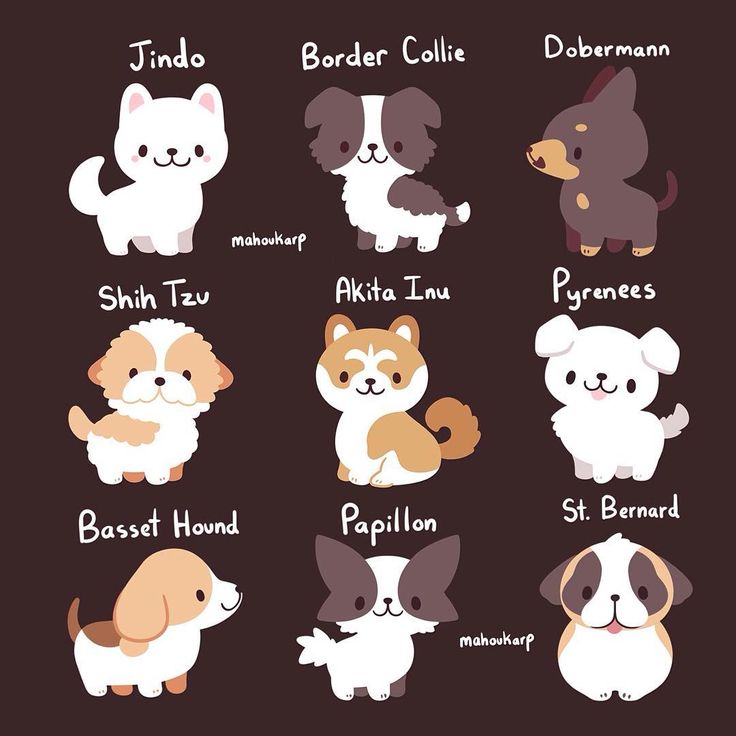 a poster with different types of dogs and their names