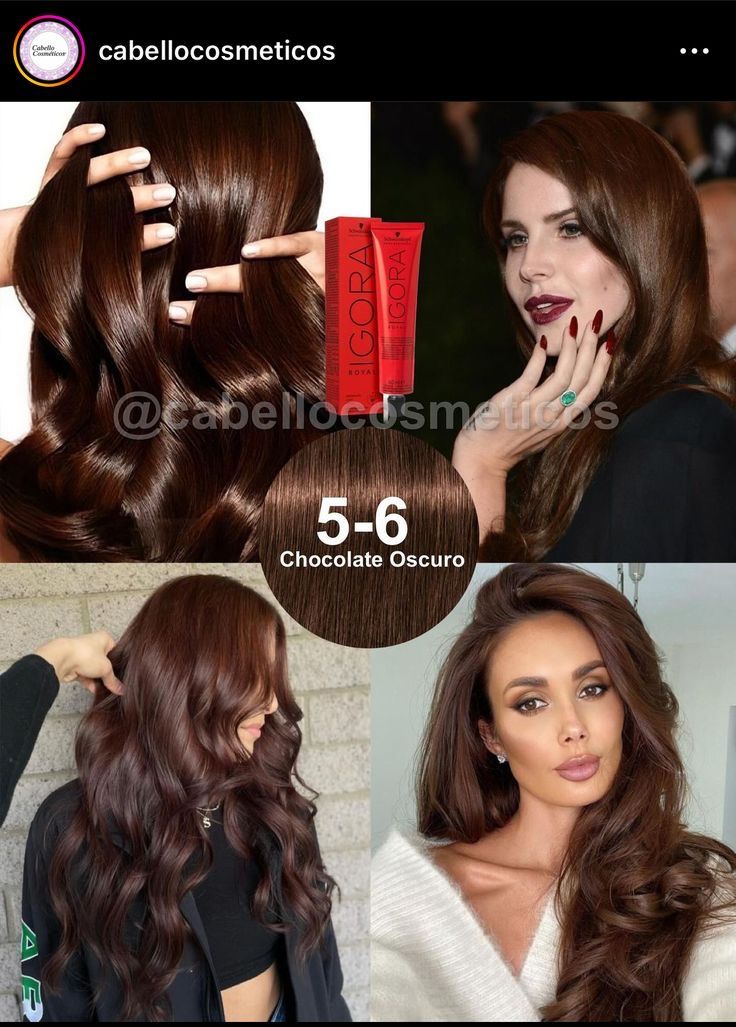 Hair Color Without Declare, Igora Royal Chocolate Brown, Chestnut Brunette Hair Color, Igora Hair Color Brown, Igora Color Chart, Igora Hair Color Formulas, Neutral Chocolate Brown Hair, Wella Illumina Formulas, Pelo Color Chocolate