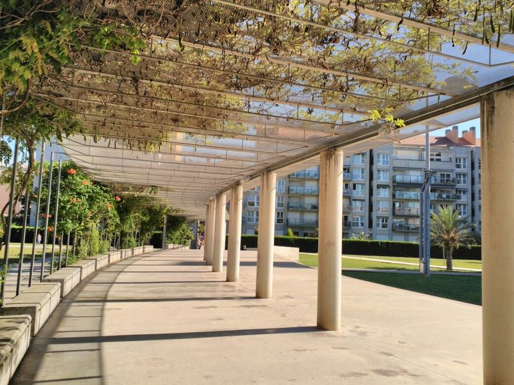 the walkway is lined with columns and trees