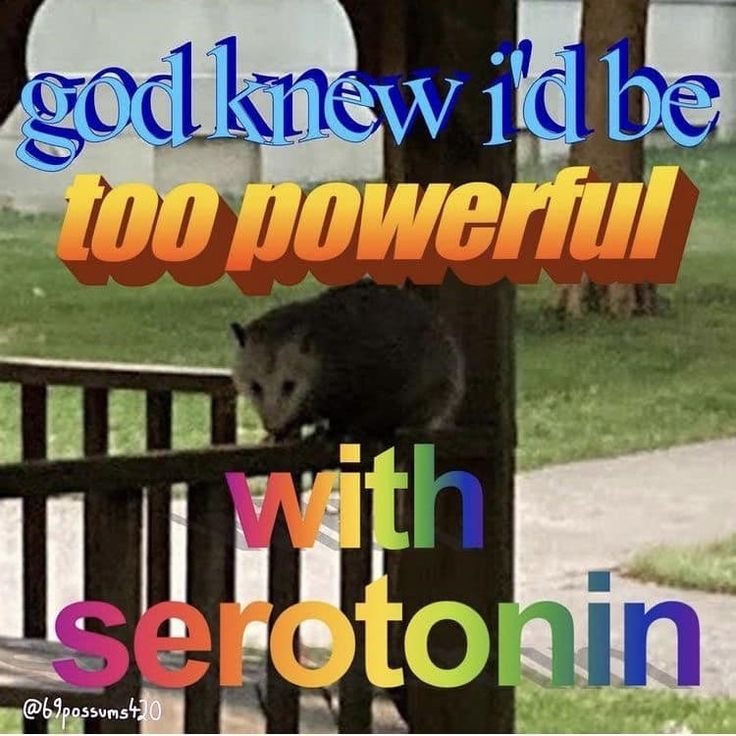 an animal that is standing on a wooden fence with the words god knew i'd be too powerful with serotoinn