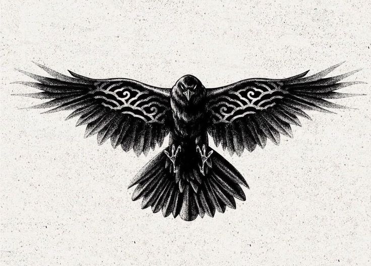 a black and white drawing of a bird with its wings spread out, flying in the air