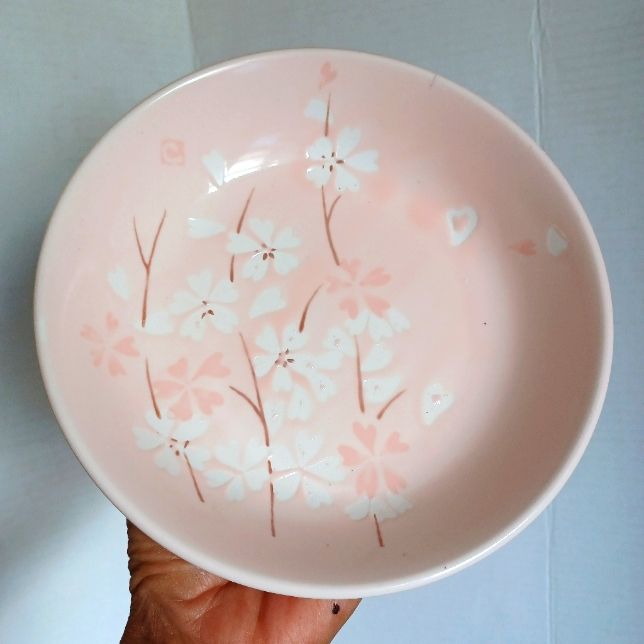 a hand holding a pink and white bowl with flowers painted on the inside of it