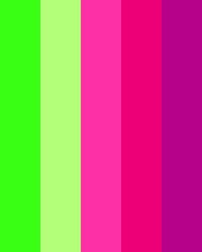 an image of a color scheme with many colors in the same line as well as different lines