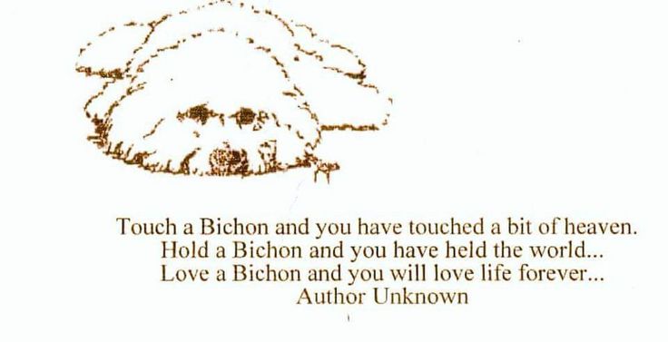 a drawing of a dog's head with the words, touch a person and you have touched a bit of heaven