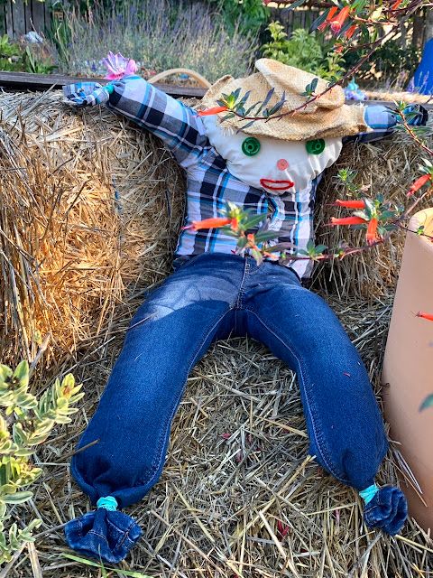 a scarecrow laying on hay next to a planter with straw in the background