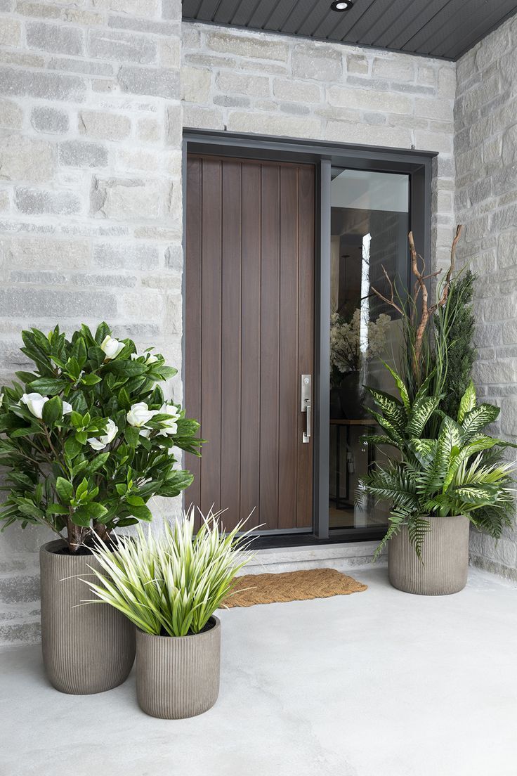 three potted plants sitting on top of a white floor next to a door and window