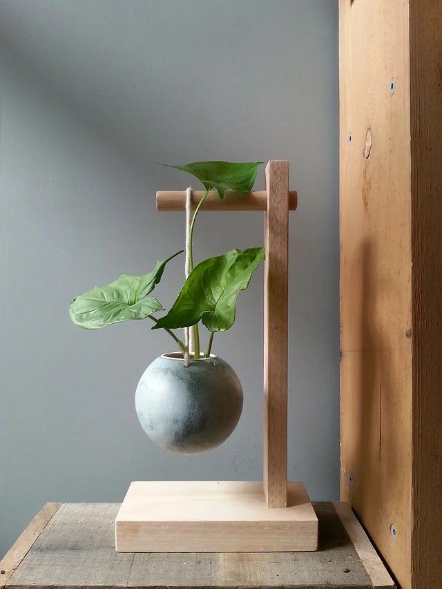 a potted plant in a vase on a wooden stand