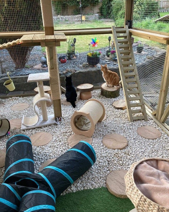 a person laying on the ground in front of a cat tree