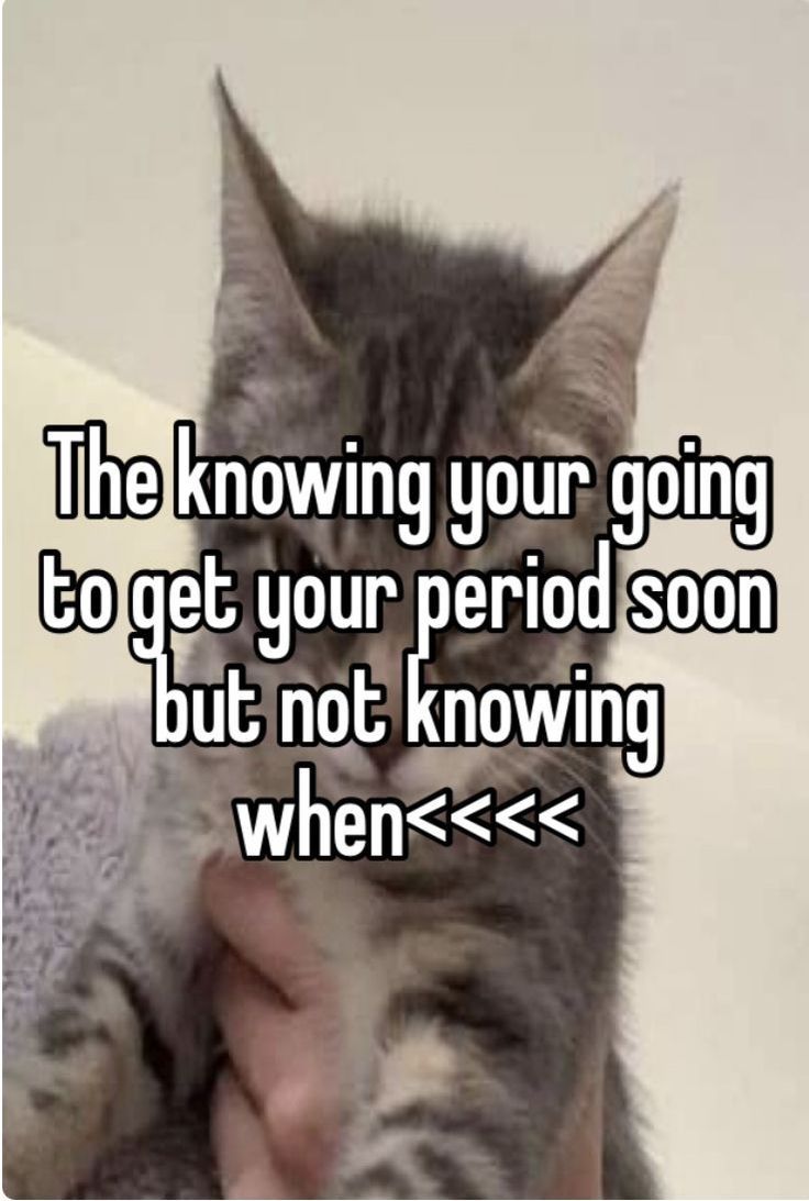 a person holding a cat with the caption'the known your going to get your period soon, but not knowing when > > > > > >