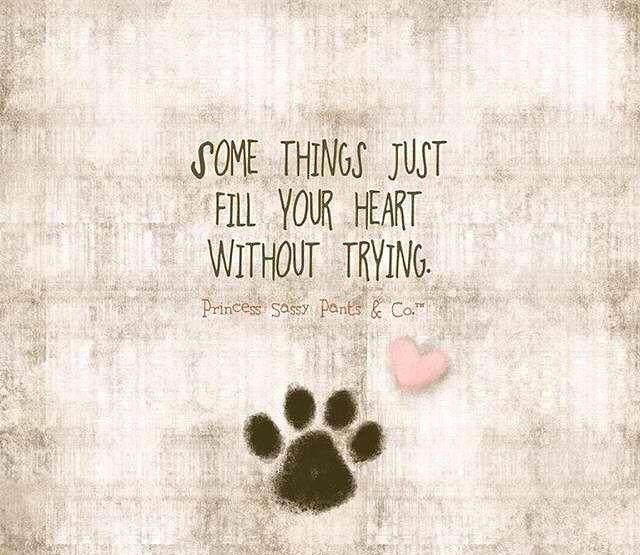 a dog paw with the words some things just fill your heart without trying on it