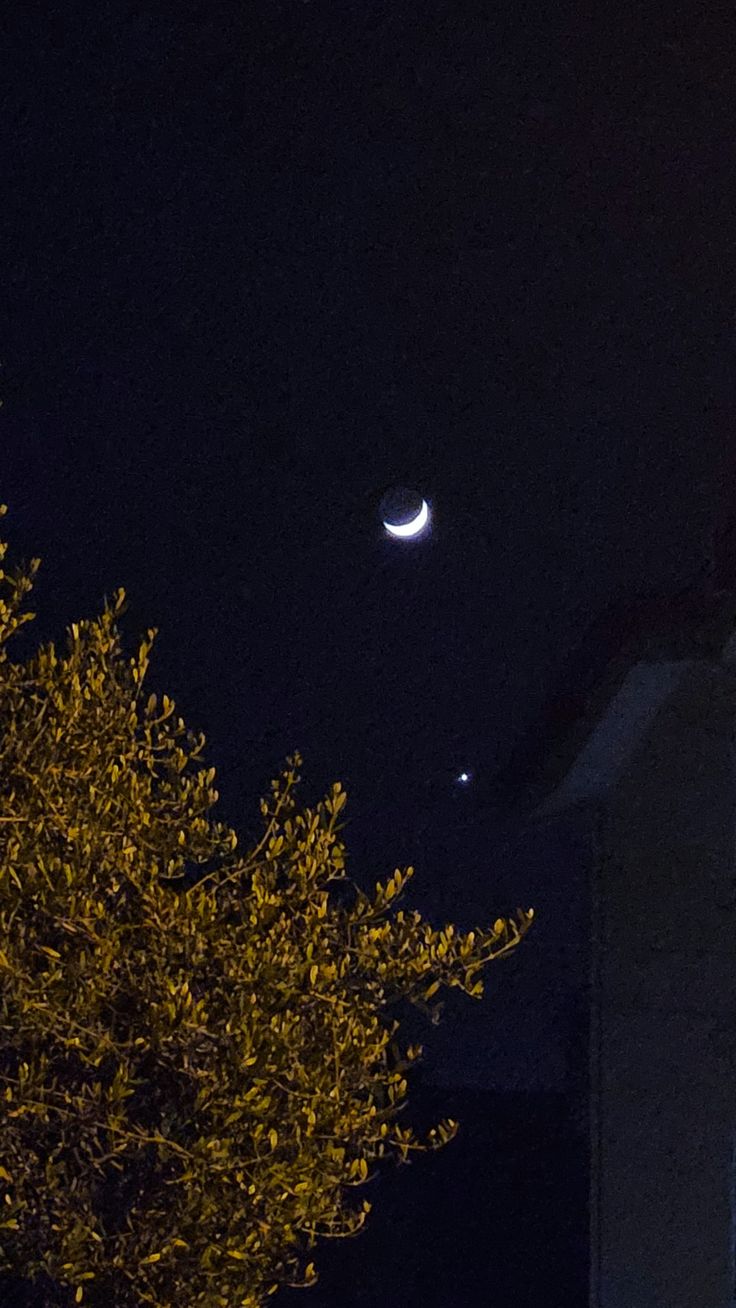 the moon and venus are visible in the night sky