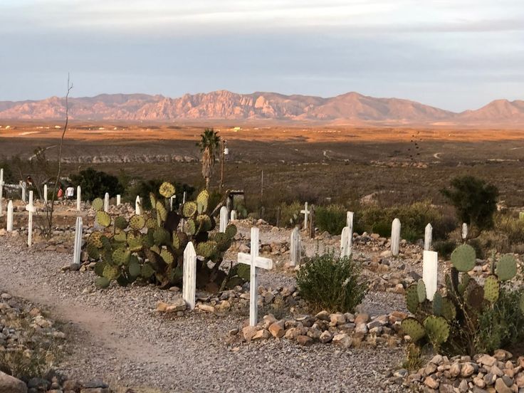 a dirt road surrounded by rocks and cacti with mountains in the back ground