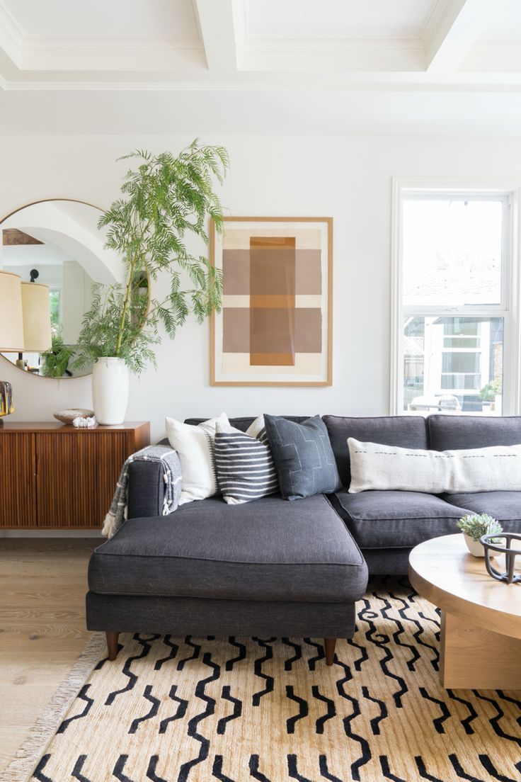 a living room filled with furniture and a plant