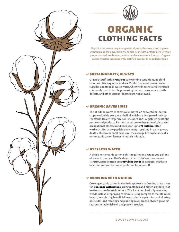 an image of organic clothing fact sheet with cotton flowers and leaves in brown ink on white paper