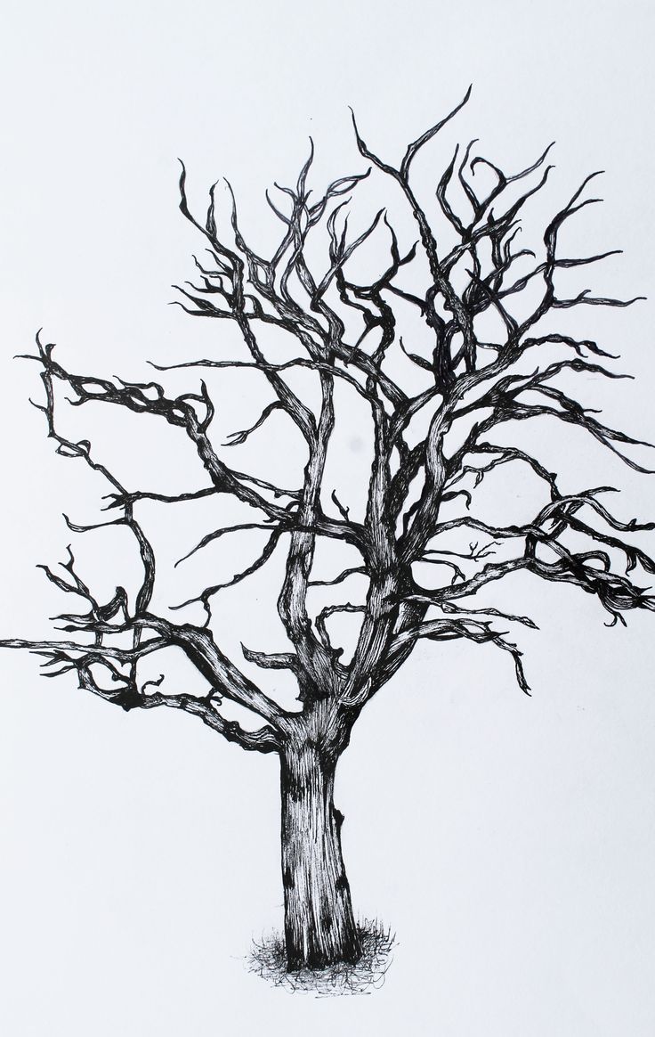 a black and white drawing of a bare tree