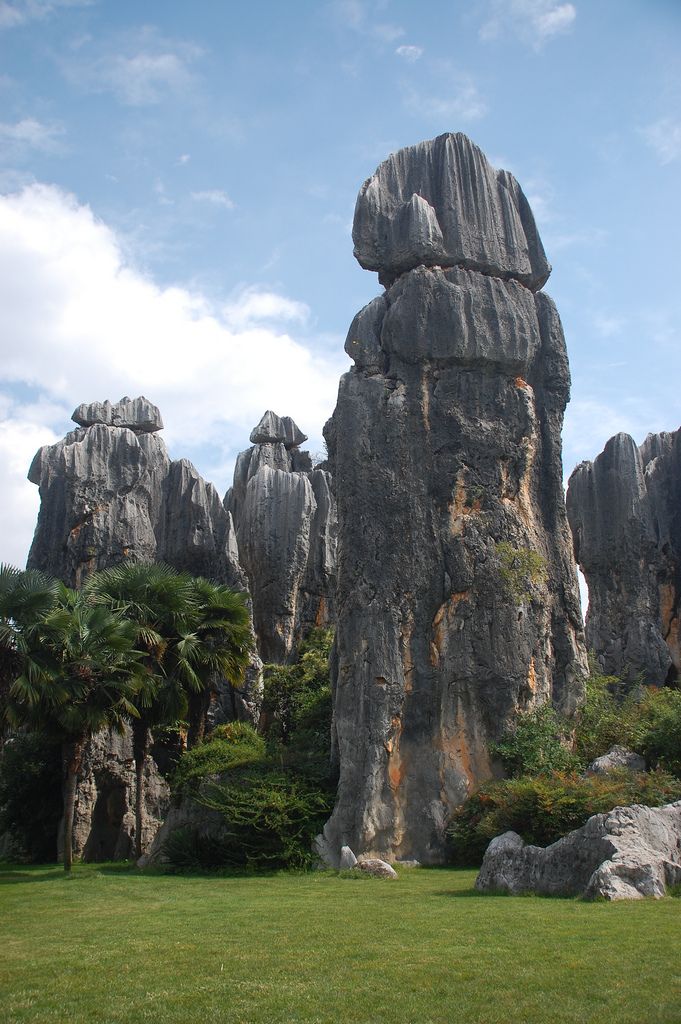 some very big rocks in the middle of a grassy area with trees and bushes around them