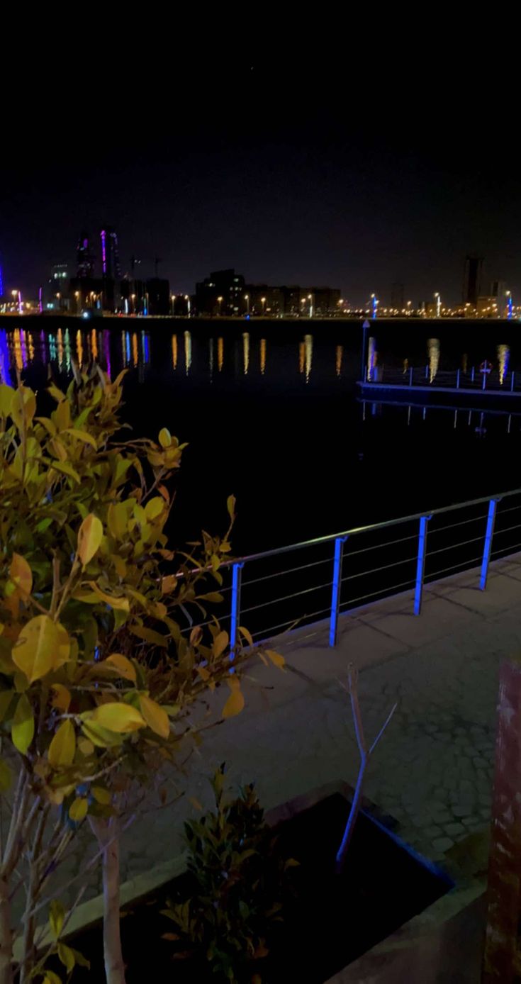 the city lights shine brightly in the night sky over the water and trees on the sidewalk