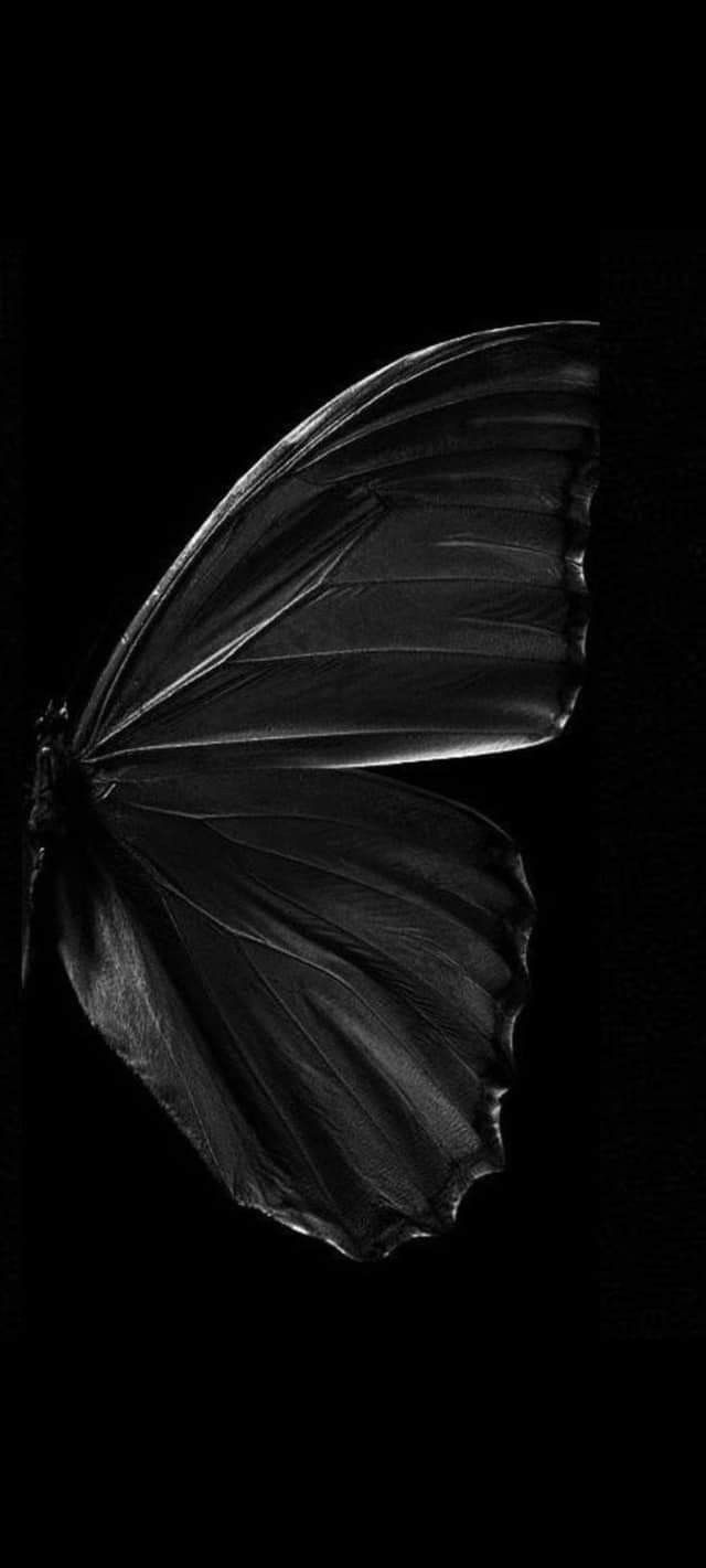 a black and white photo of a butterfly on a dark background with one wing extended