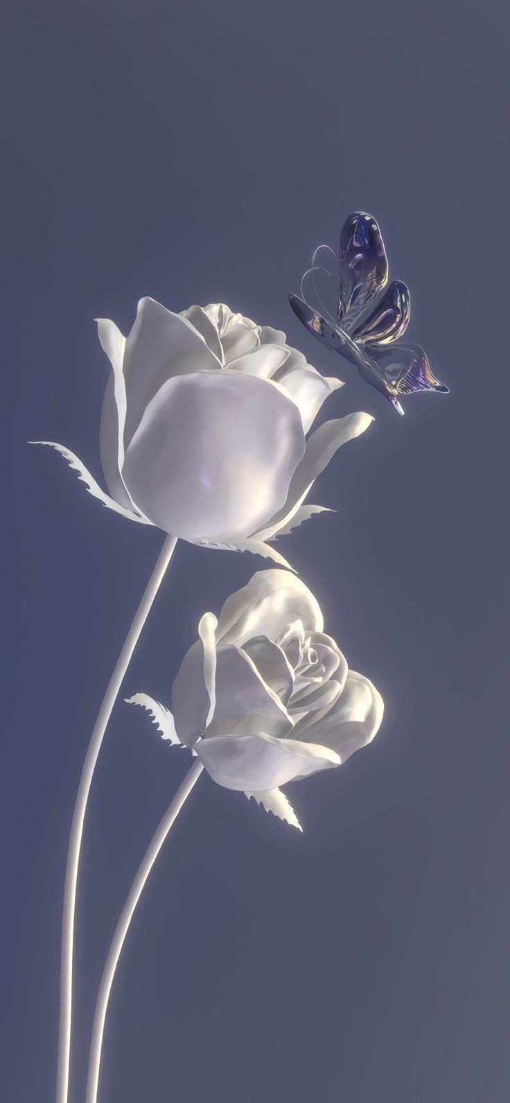 two white roses with a butterfly on the top and one flower in the foreground